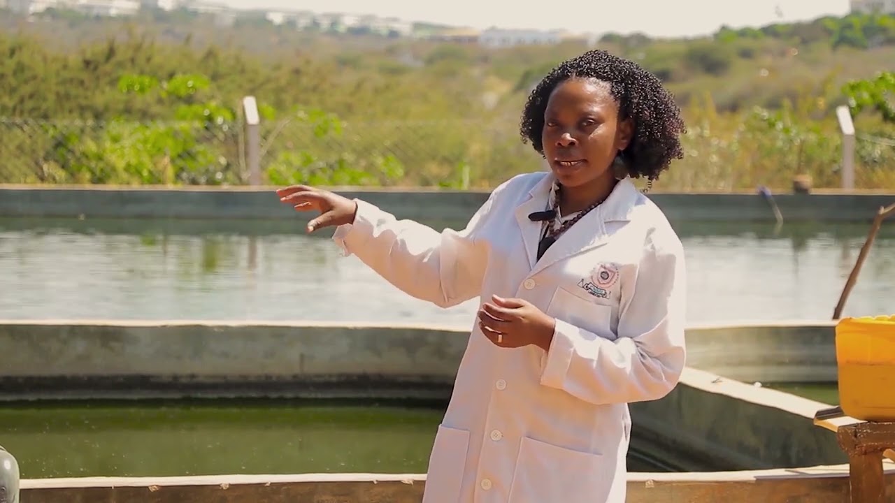 IN THE HEART OF THE UNIVERSITY OF DODOMA (episode one)