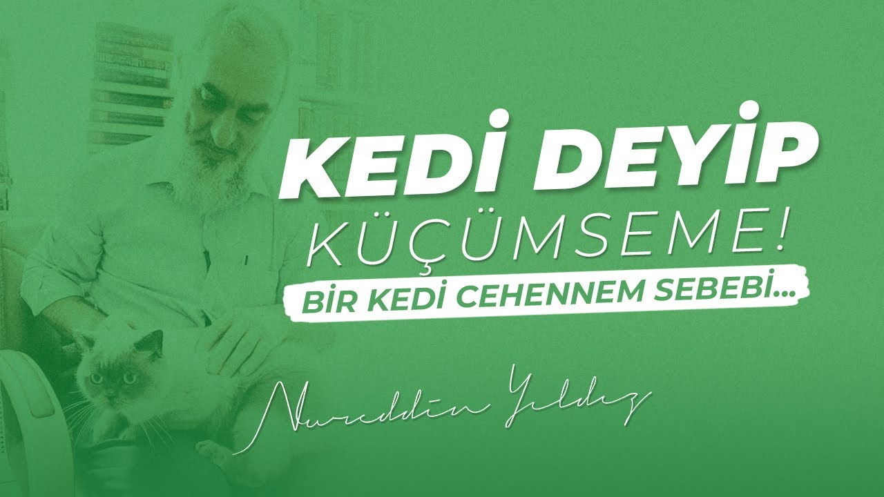 KEDİ DEYİP KÜÇÜMSEME! BİR KEDİ CEHENNEM SEBEBİ... | Nureddin Yıldız