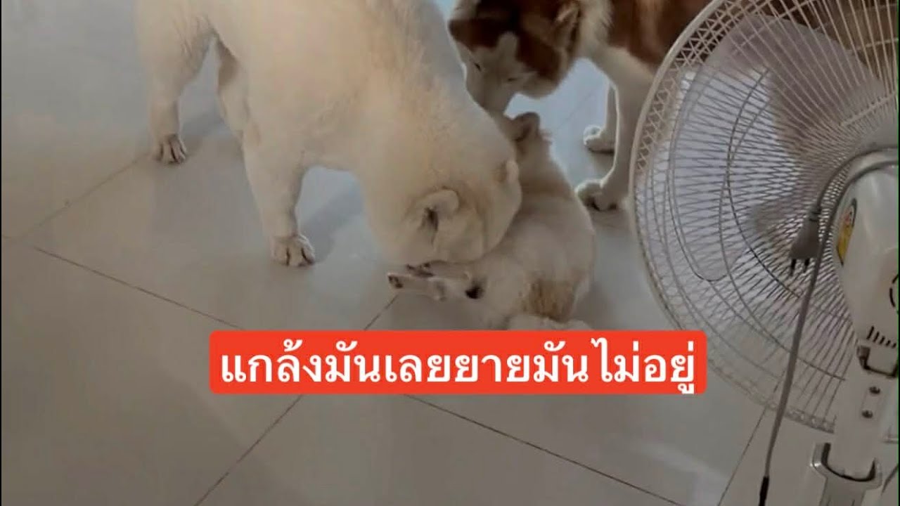 10 มกราคม 2569