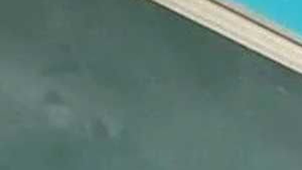 警惕羊群效应 随大流只会害自己家长必看 羊群效应 教育 孩子教育