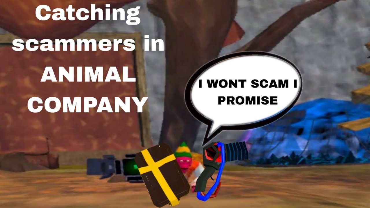 Catching scammers in ANIMAL COMPANY 