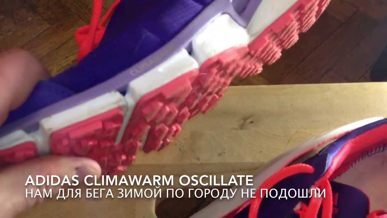 Обзор кроссовок для бега Adidas Climawarm Oscillate