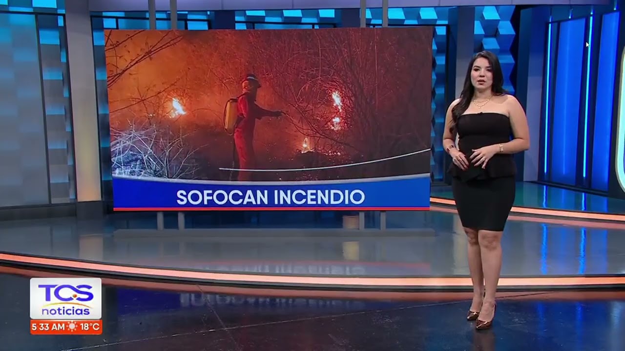 Incendio en terreno con maleza seca en Metapán no dejó víctimas. TCS Noticias