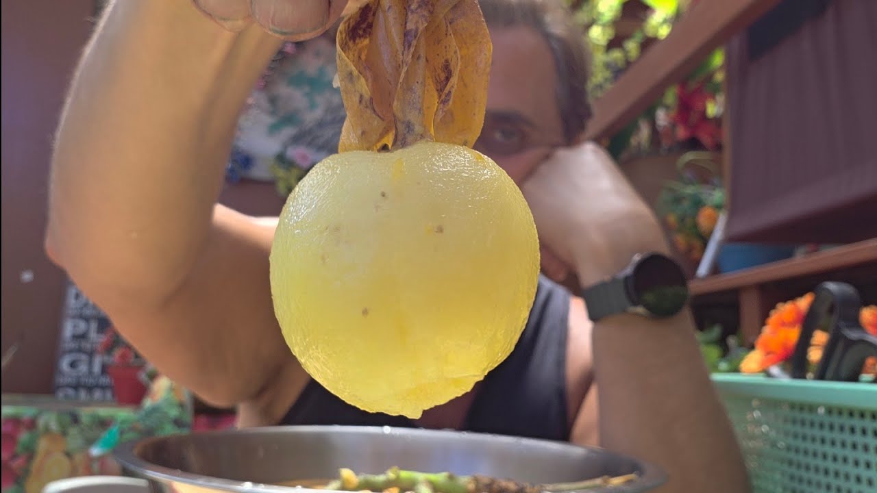 You Won’t Believe These GIANT Loquats🔥 Summer’s Back & So is The Heater!