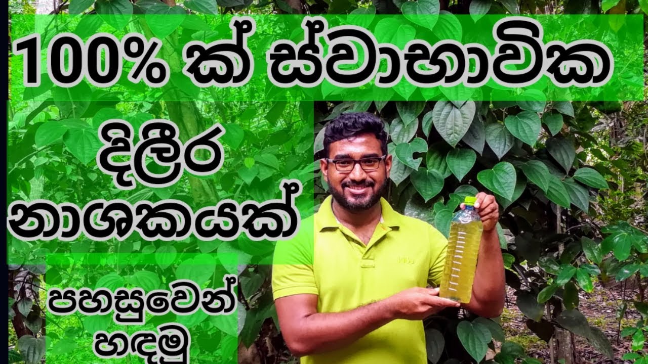 කාබනික  දිලීර නාශකයක් ඉක්මනින් හදමු, How to make an Organic Fungicide to Your Home Garden