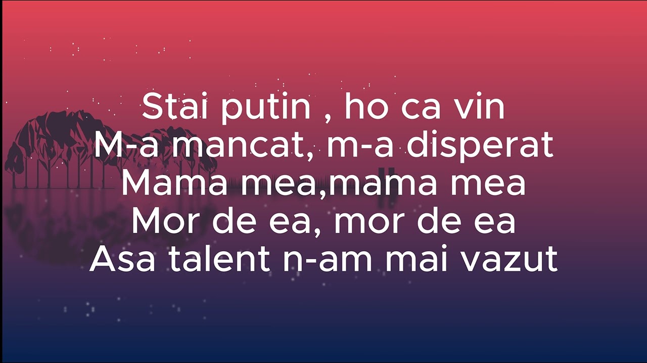 KARAOKE - Gipsy Style - Am - Costel Biju