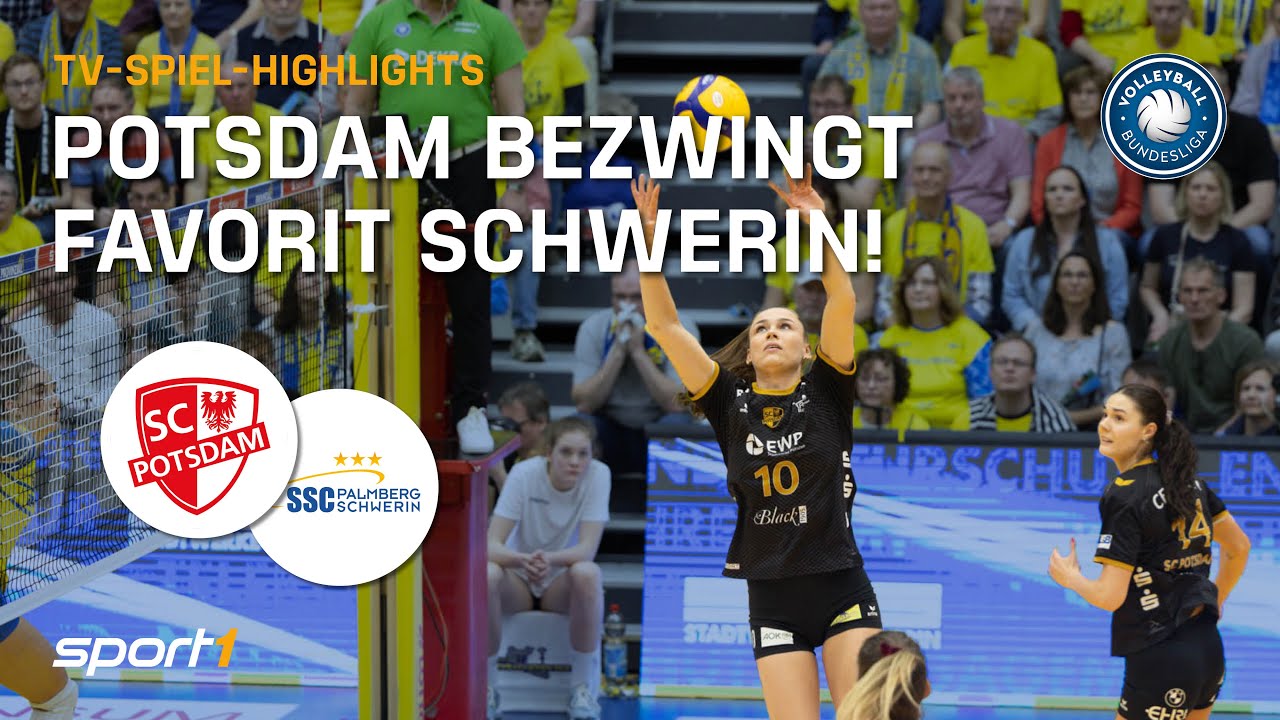 Spieltag Highlights: SSC Palmberg Schwerin vs. SC Potsdam | 1. Volleyball Bundesliga