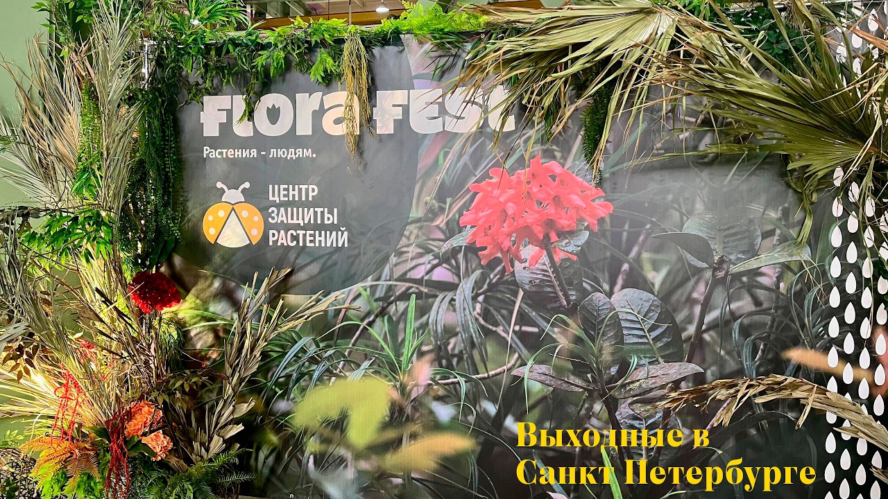 Выходные в Санкт-Петербурге. Фестиваль Flora Fest в Севкабель порт.