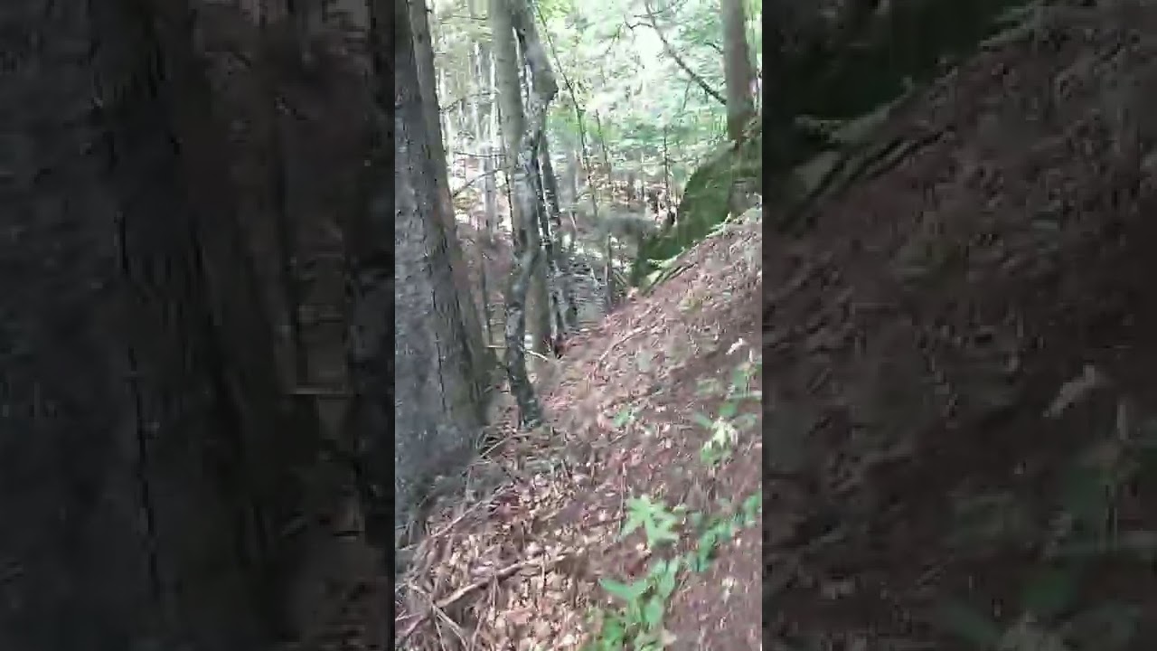 Walk through mountain to Church Metodje - planinarska staza za rezervat crkvu Metođe Kopaonik