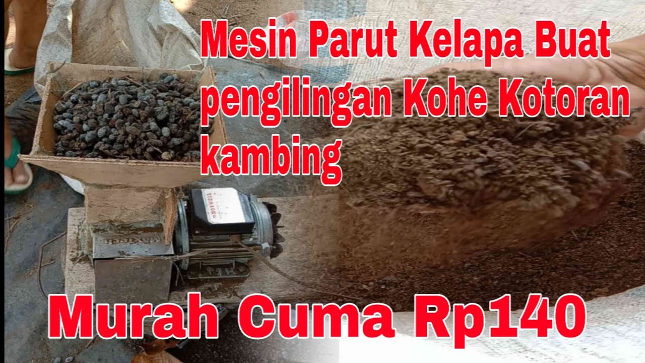 Mesin Penggilingan KOHE/Kotoran kambing dari parut kelapa