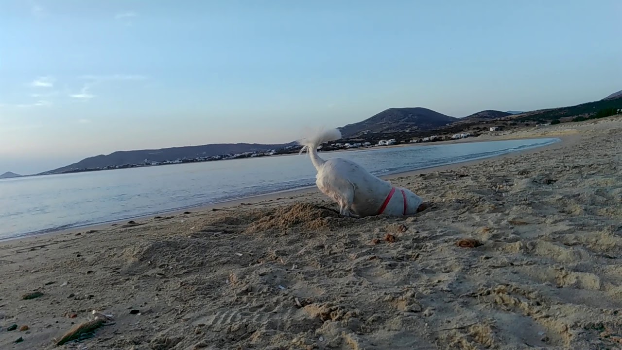 alyko beach, naxos island, Greece