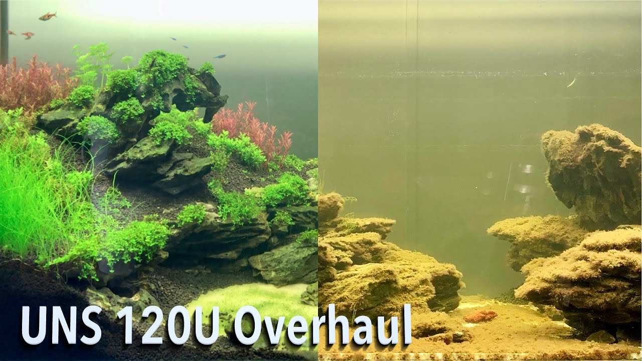 UNS 120U Overhaul | Aquarium Aquascape