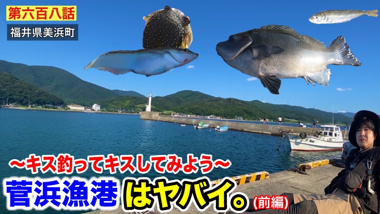 【第六百八話】福井県の「菅浜漁港」は釣れすぎてヤバイ！！〜キス釣ってキスしてみよう！！（前編）
