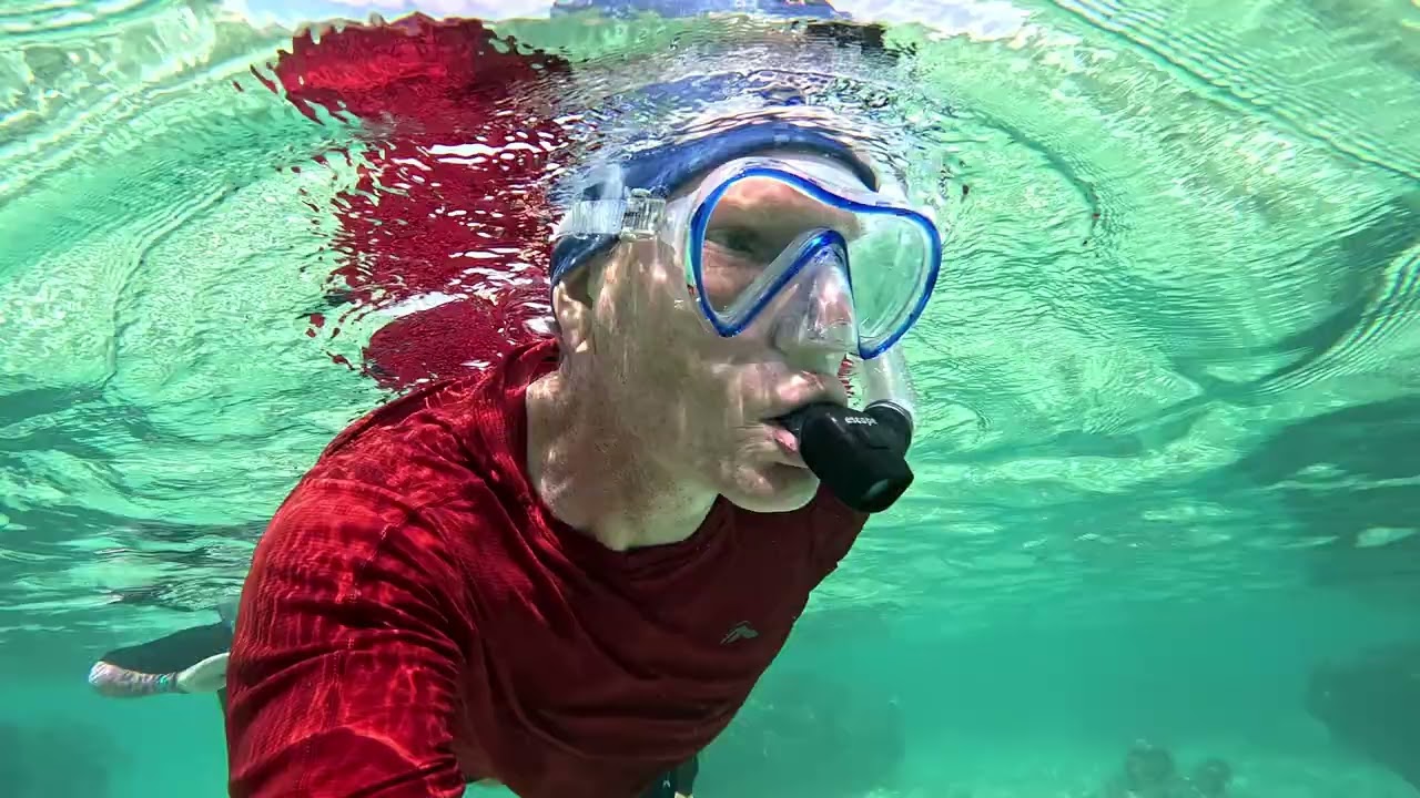 2025 Rarotonga Snorkeling