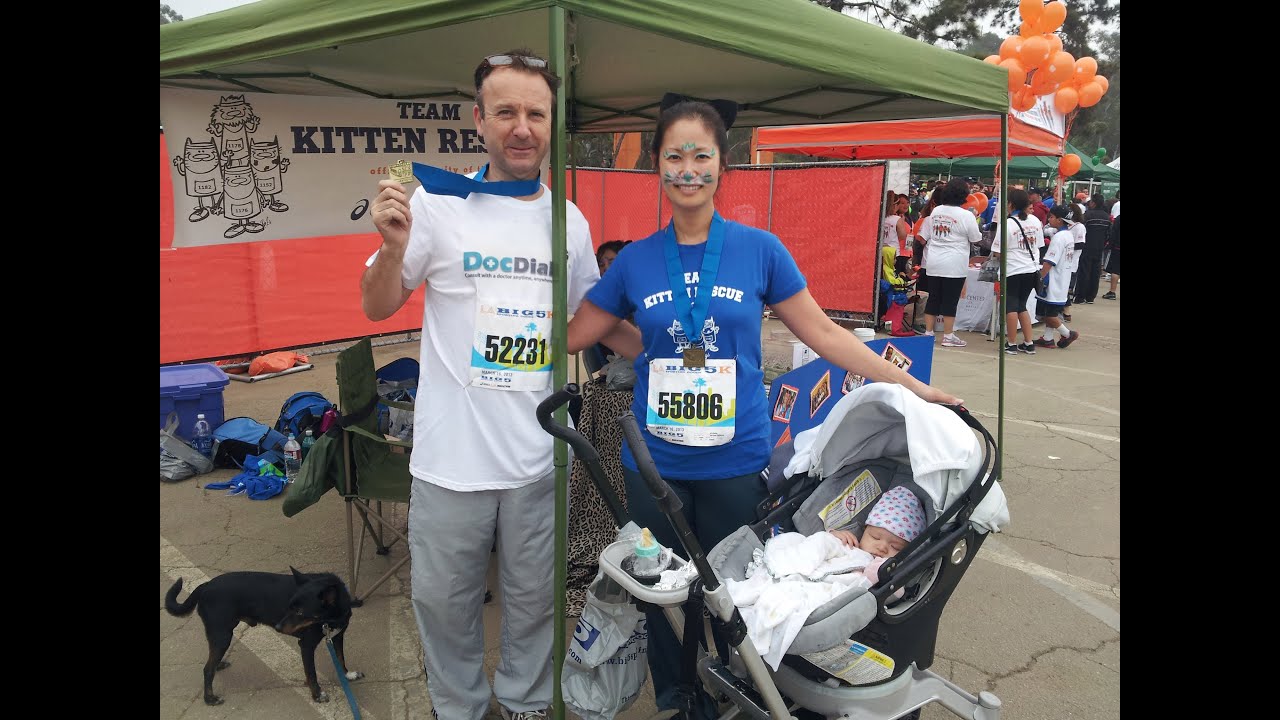 Team Kitten Rescue 2014