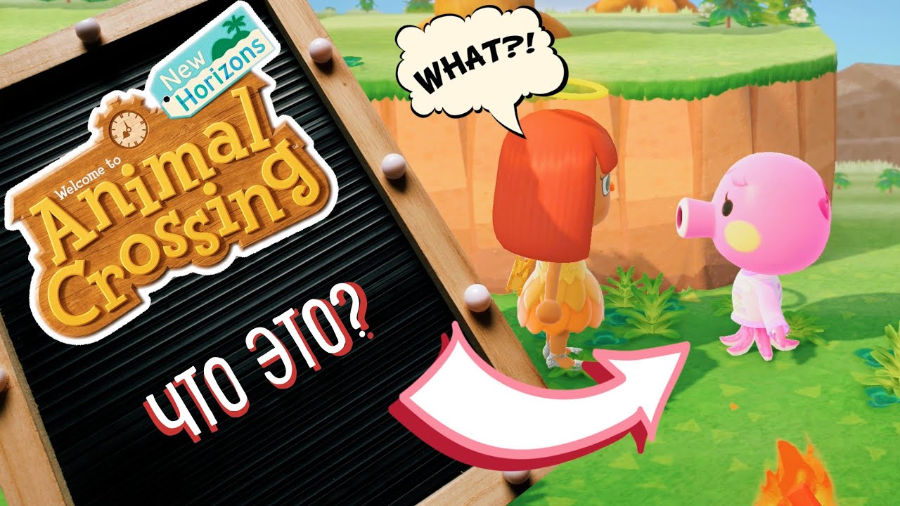 Ищем нового жителя на остров в Animal Crossing New Horizons