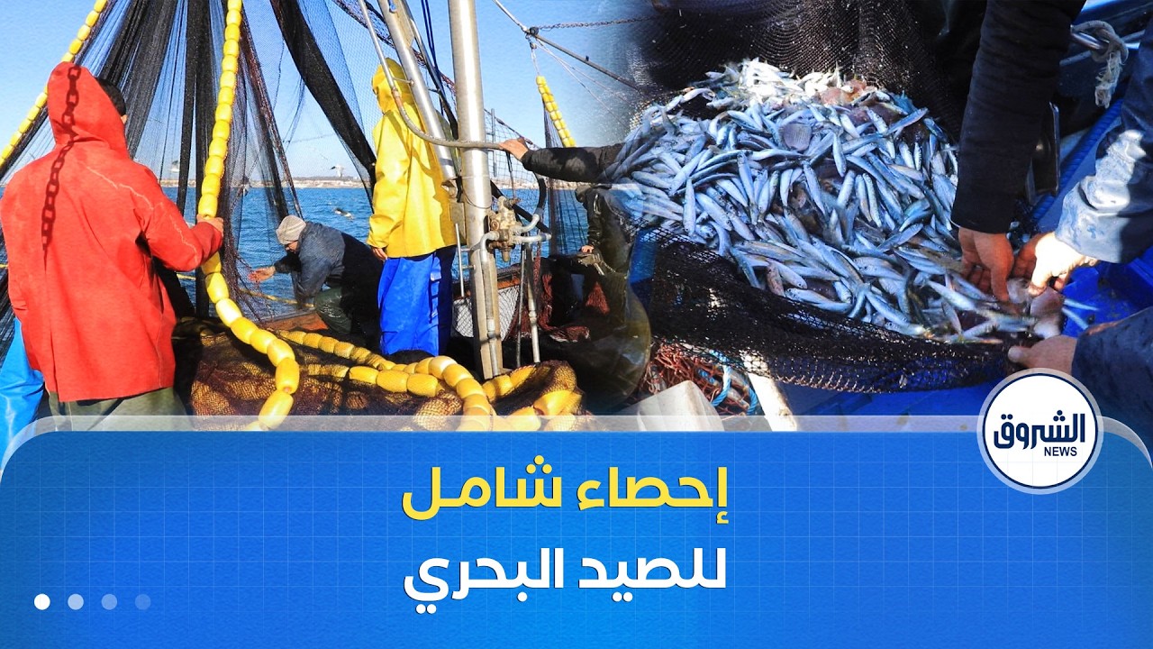 إطلاق الإحصاء العام في قطاع الصيد البحري قريبا لتطوير وتنظيم القطاع