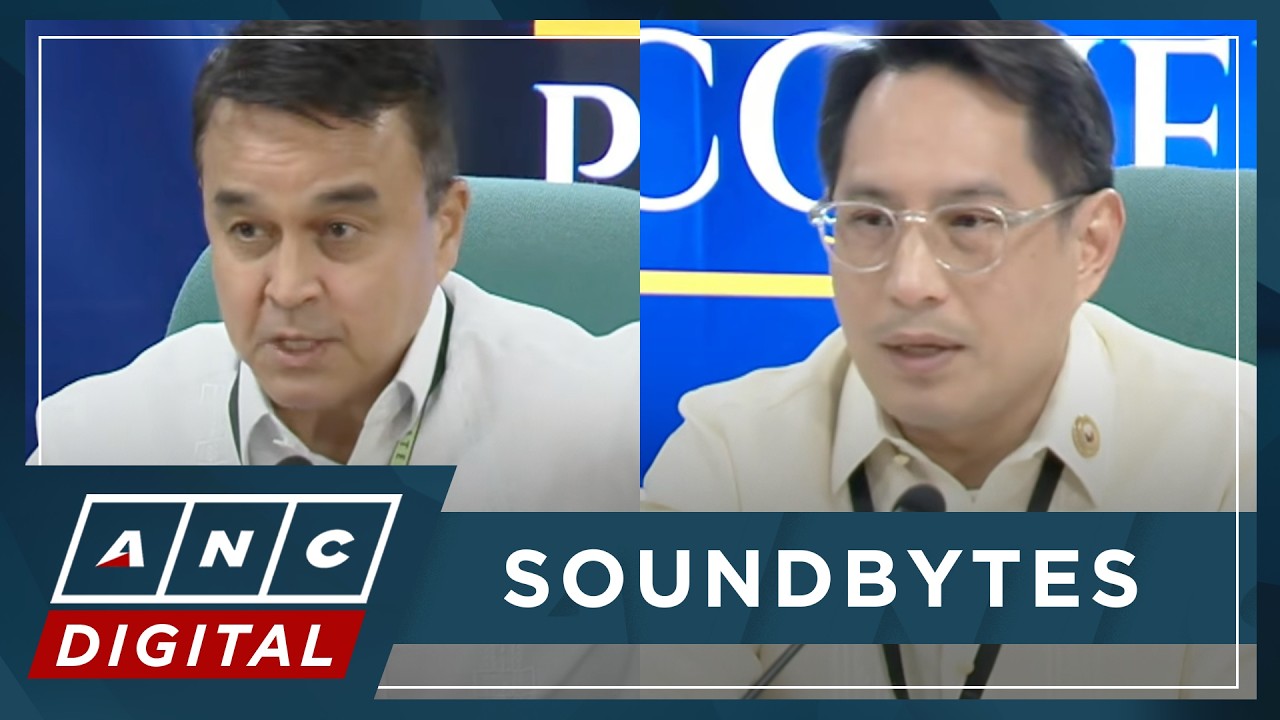 ICYMI: House prosecution panel weighs in on Day 27 of VP Sara trial, SEC witness testimony | ANC