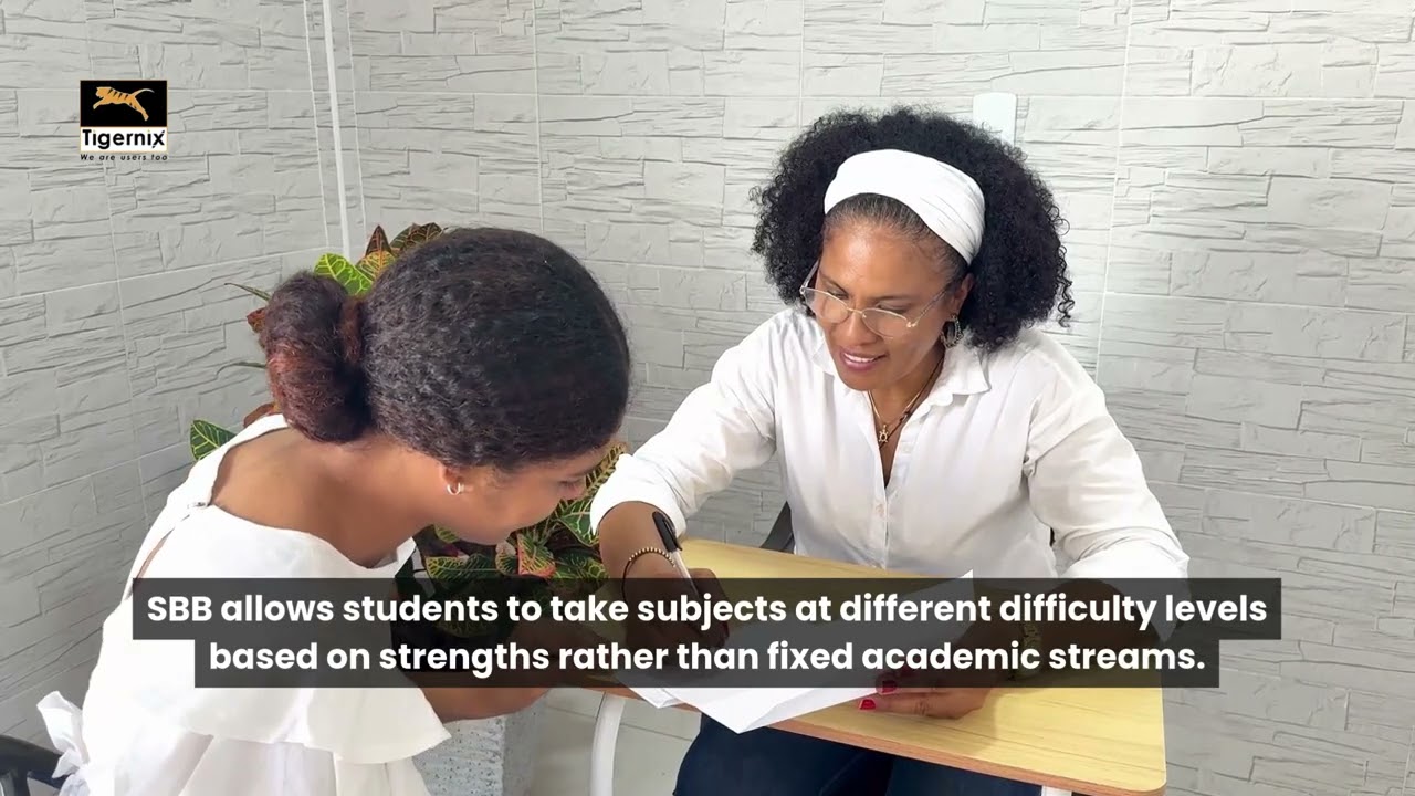 What are the different types of secondary schools in Singapore