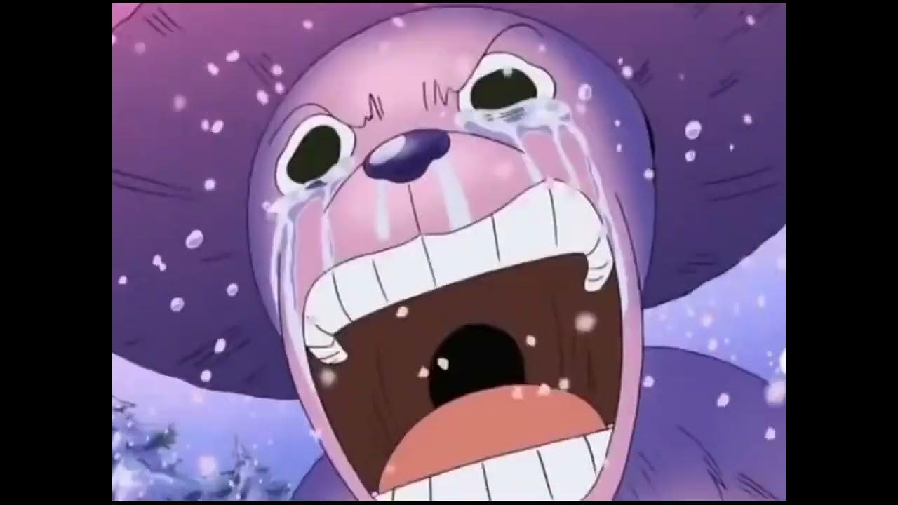 One Piece - Chopper's Epic Cry