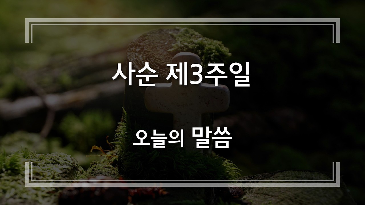 20260308 사순 제3주일