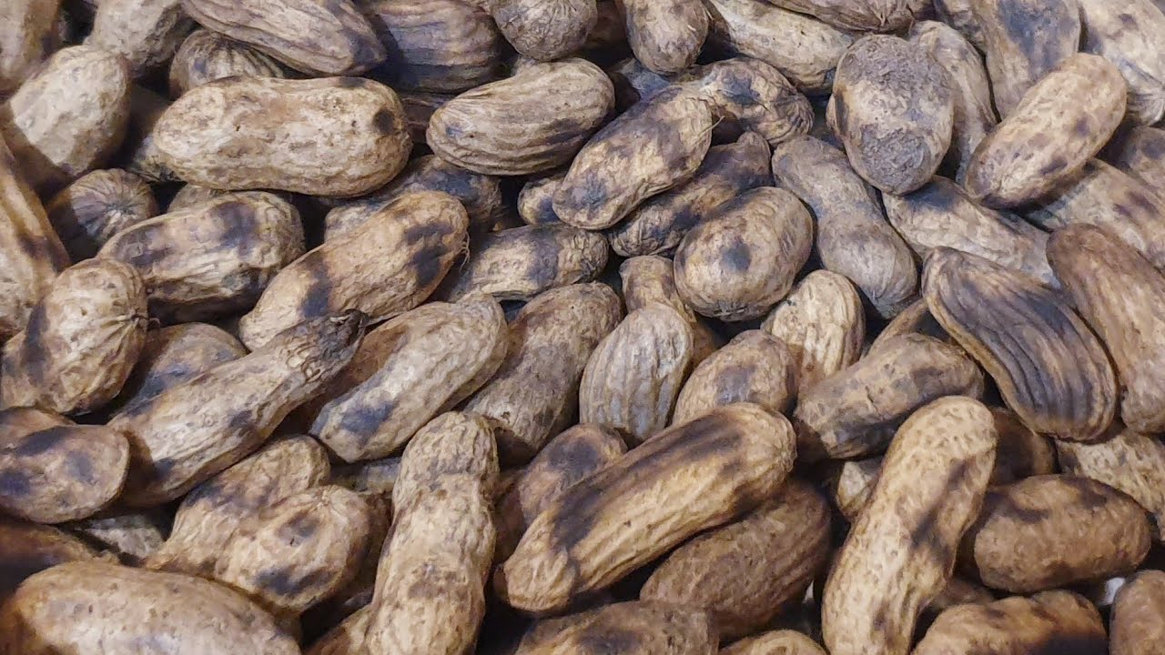 Roasted Peanuts|How to cook shell peanuts|How to roast raw peanuts| Kukanga nzungu nyoro|ZIMBO FOODS