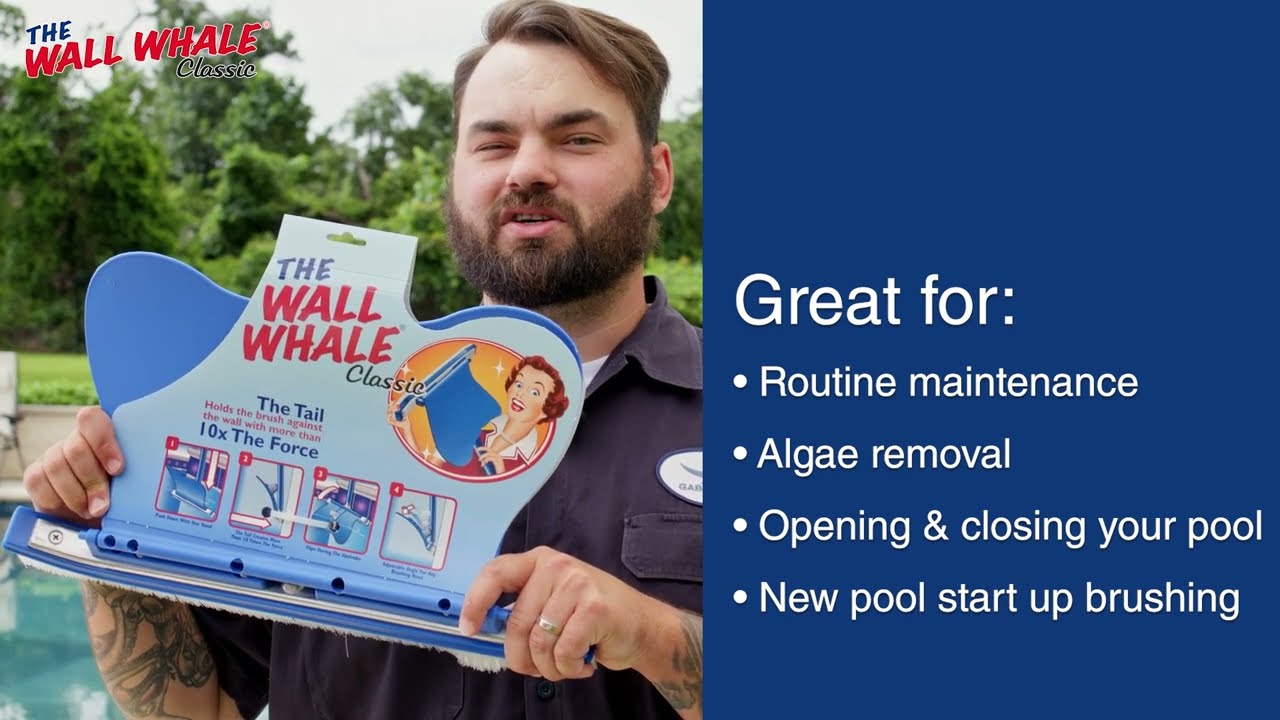 The Wall Whale Swimming Pool Brush