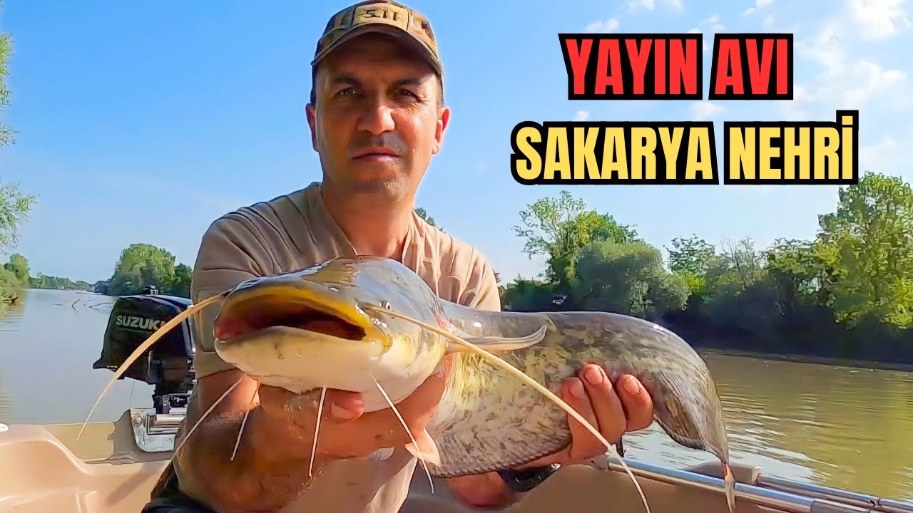 Yayın Balığı Avı - Balık Avı - Sakarya Nehri - Catfish