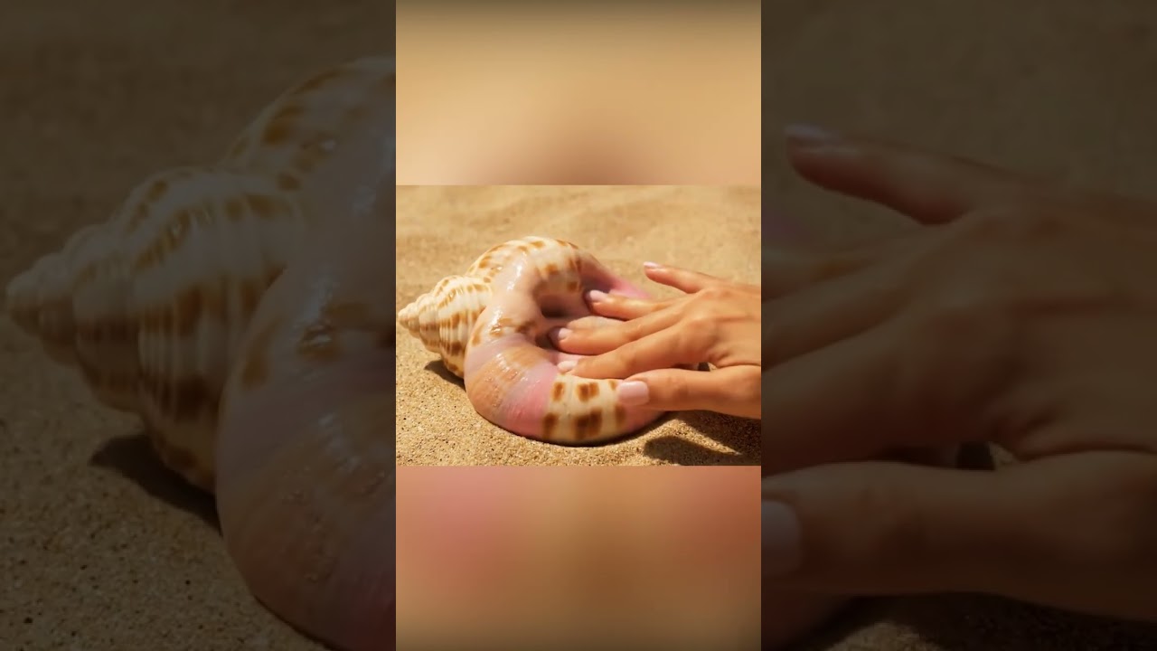 Squishing a Realistic Sea Snail Made of Slime 