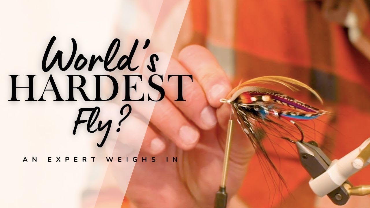 Will Bush Breaks Down a Classic Fly