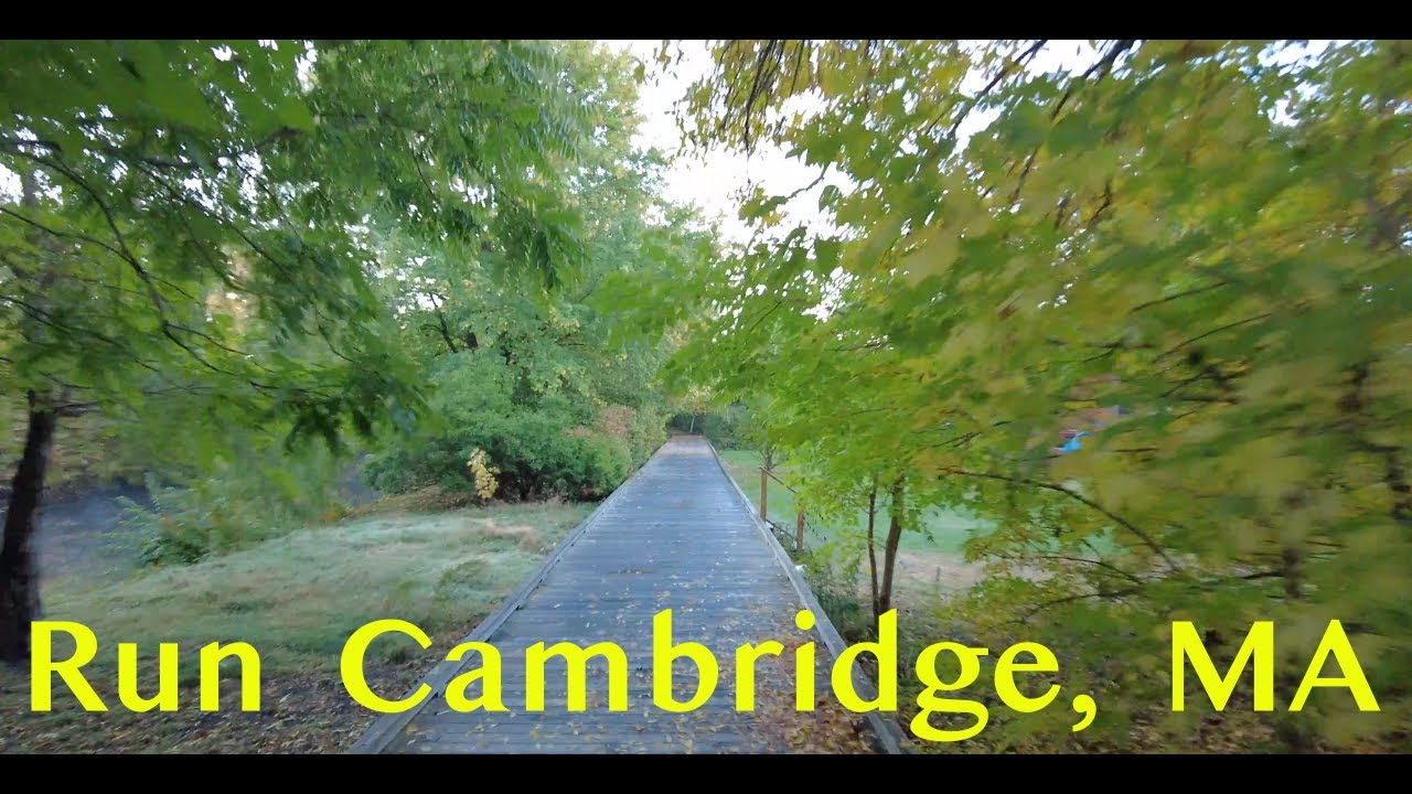 Virtual Run Local Street Cambridge, MA 4K