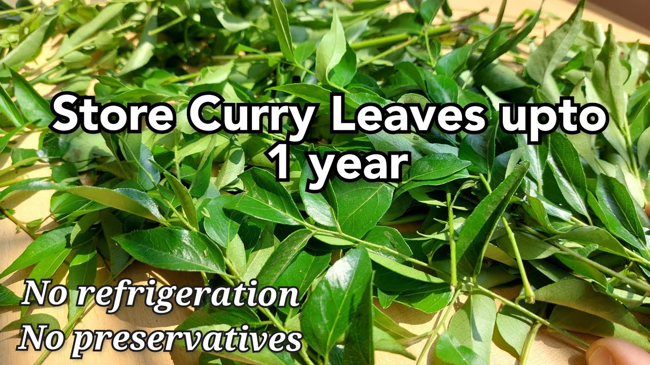 Useful for those working and those traveling abroad | #kitchenrevelations #howtostorecurryleaves