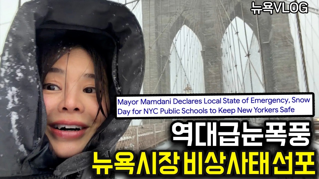 뉴욕 역대급 폭설! 비상사태 선포된 날+ but 낭만 터지는 뉴요커들⛄️