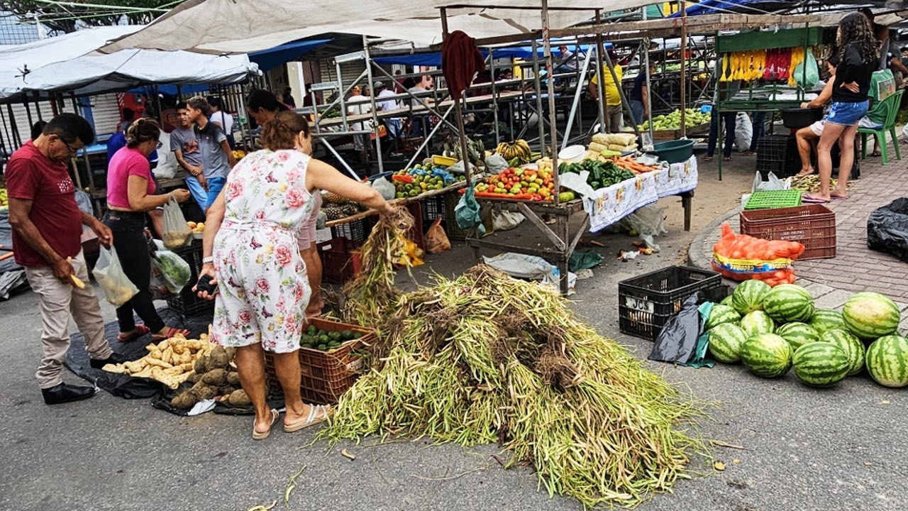 FEIJÃO E MILHO VERDE NA FEIRA DE PANELAS PE