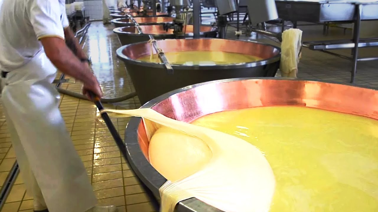 INCRÍVEIS MÁQUINAS DE FABRICAÇÃO DE QUEIJO E SATISFATÓRIAS QUE ESTÃO EM UM NOVO NÍVEL