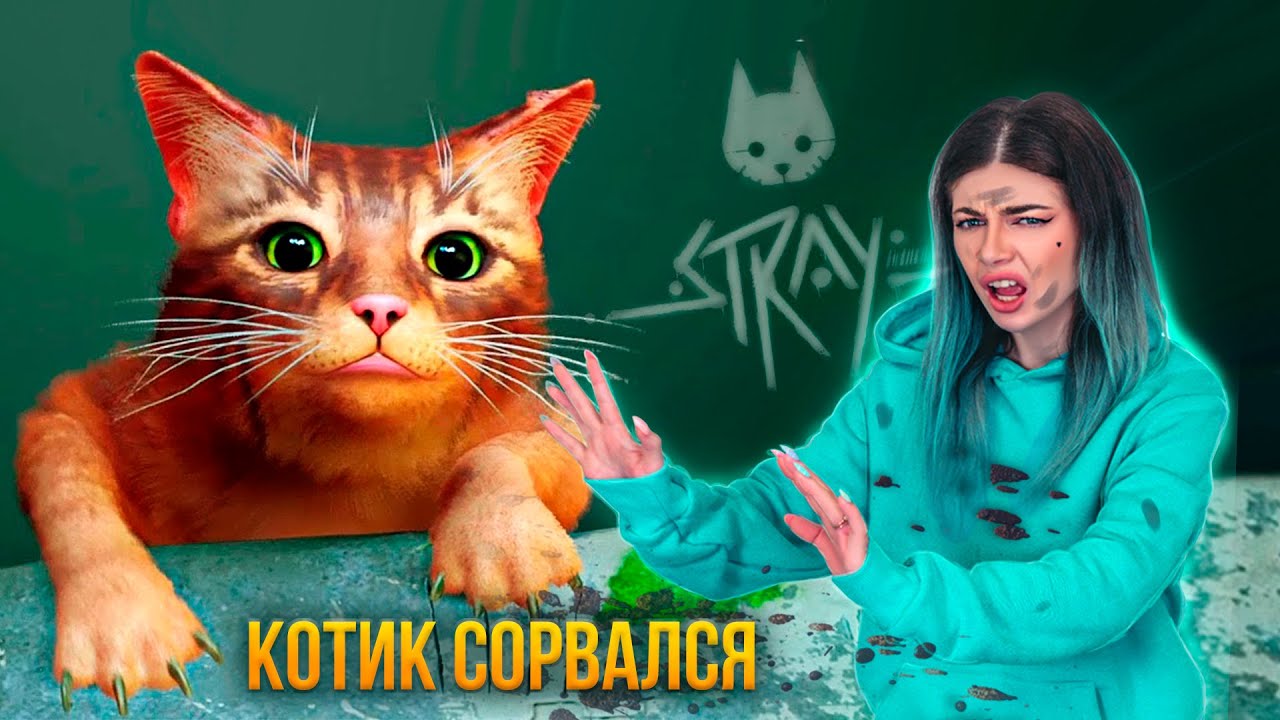 СПАСАЮ КИСКУ - КОТИК СОРВАЛСЯ ➲ STRAY #1