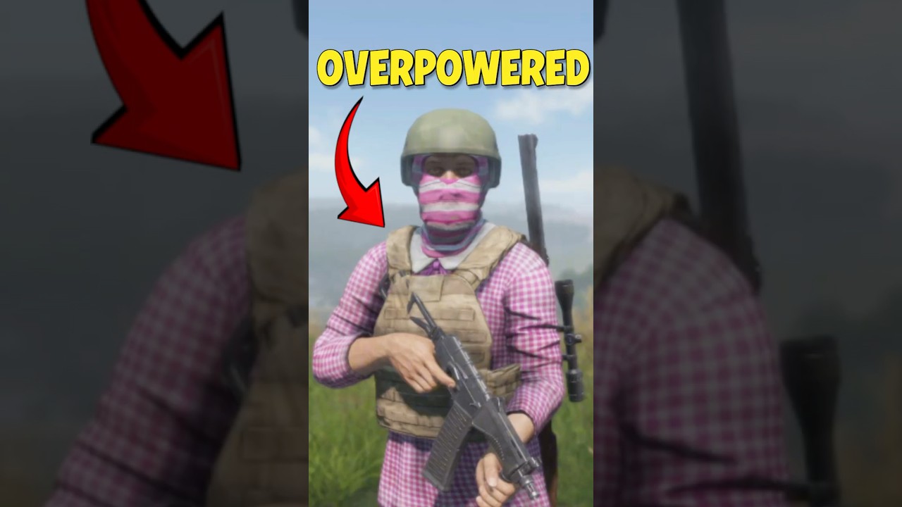 Best PvP Build In DayZ ✅