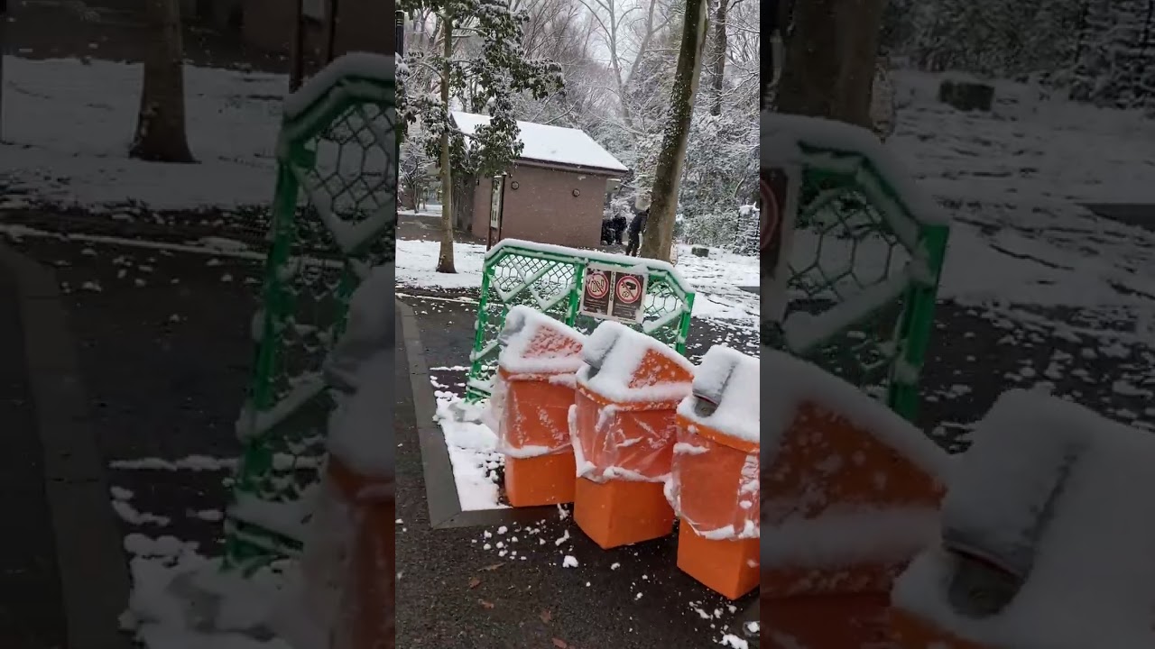 東京　雪の林試の森公園