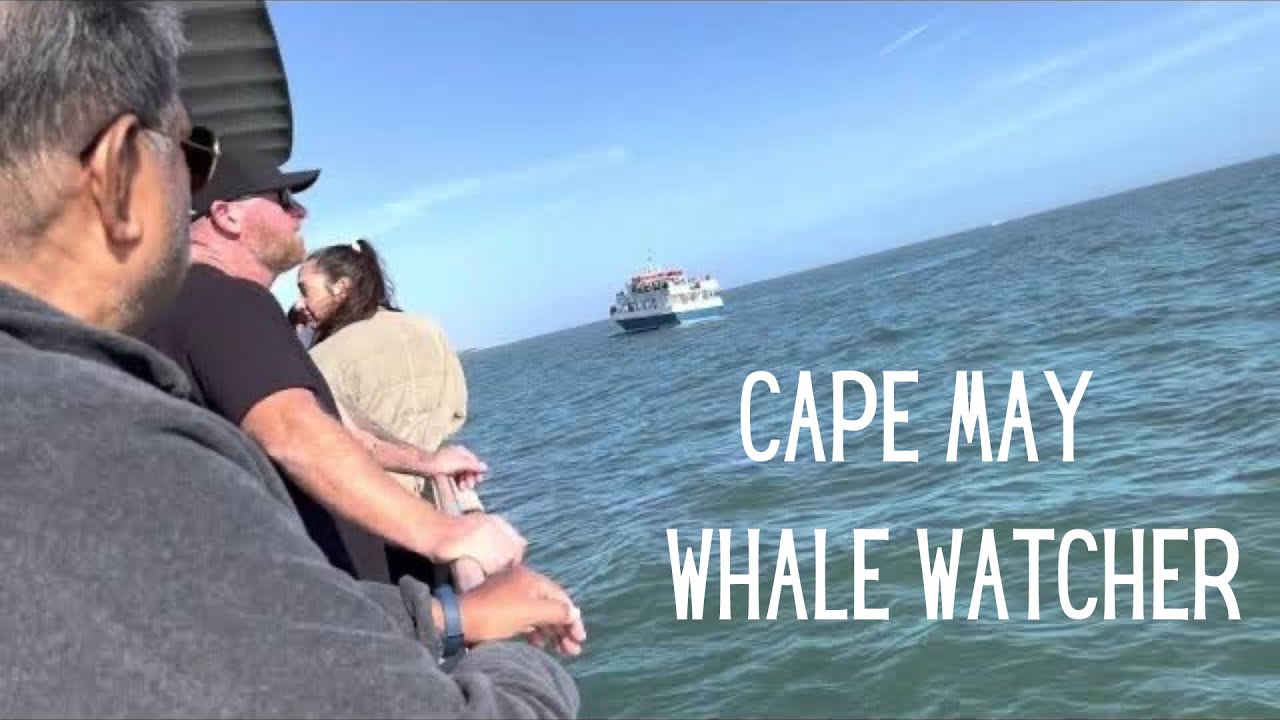 Cape May Whale Watchers | Adventures in New Jersey | MeetTheAruns