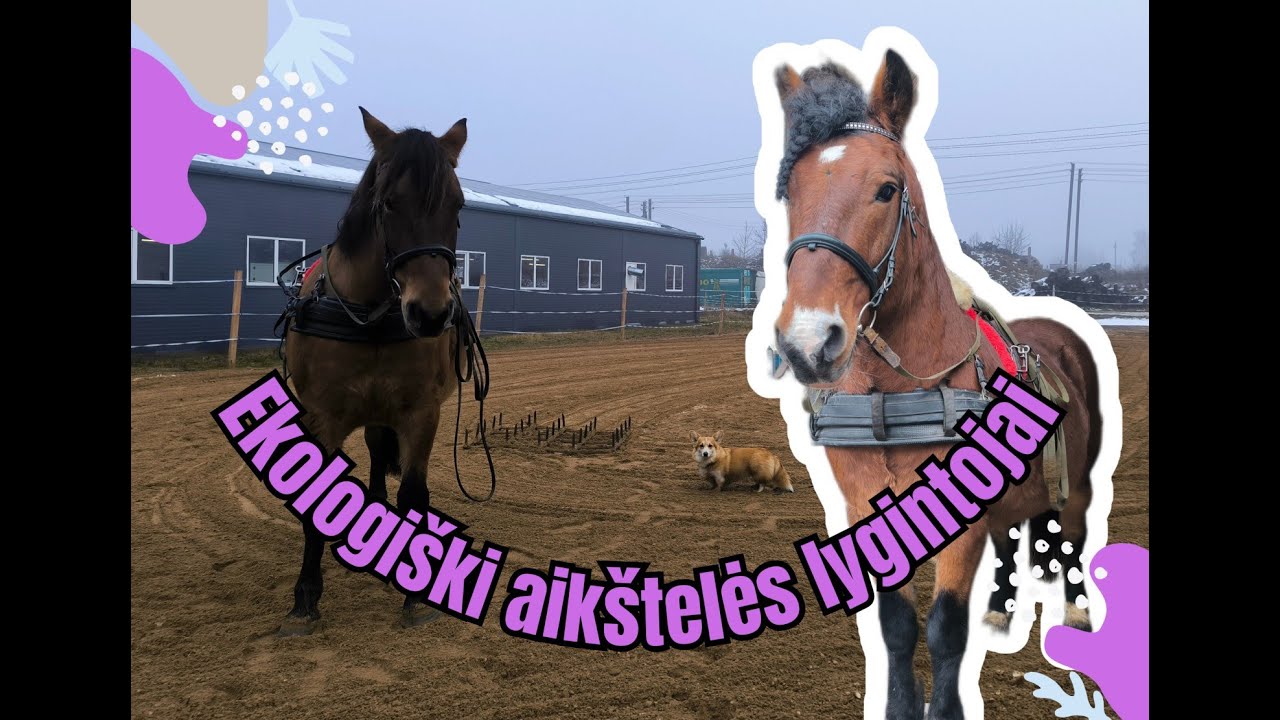 Ekologiški aikštelės lygintojai - UJ Liberty Work