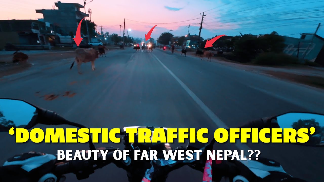 Night rides here are a survival task || Kanchanpur & Kailali || Sudurpaschim Nepal ||