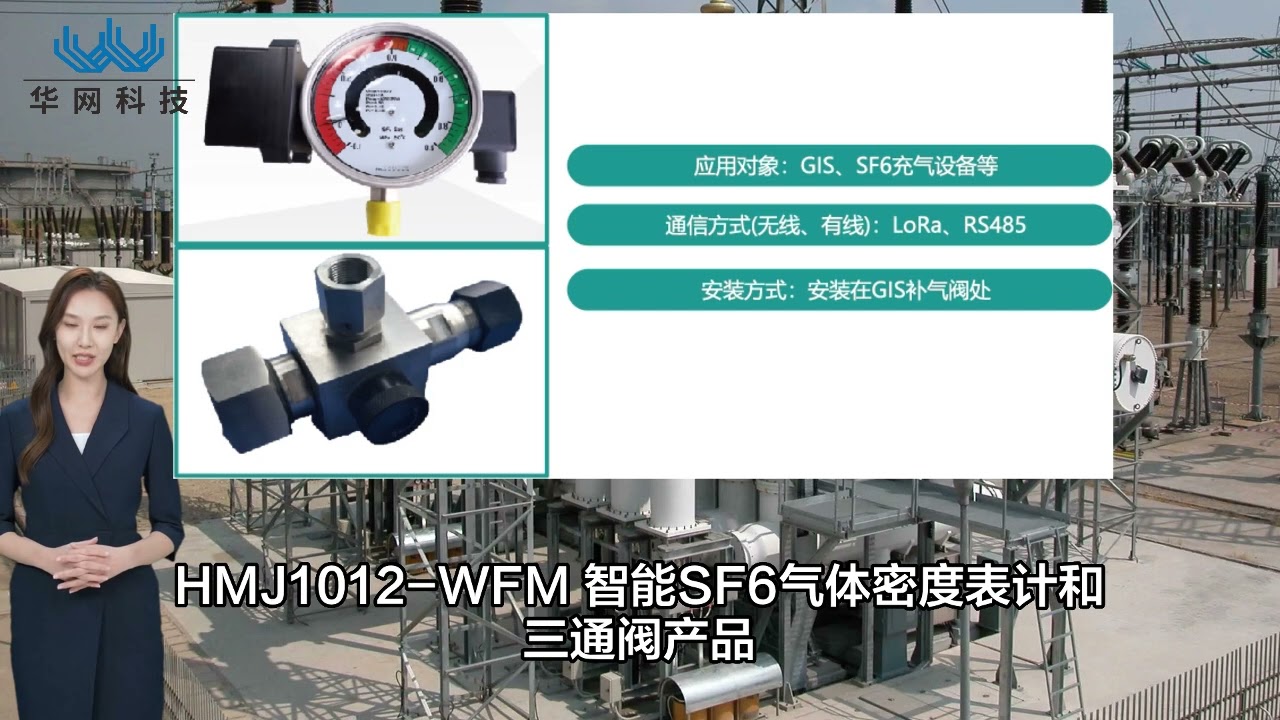 GIS Online Monitoring System