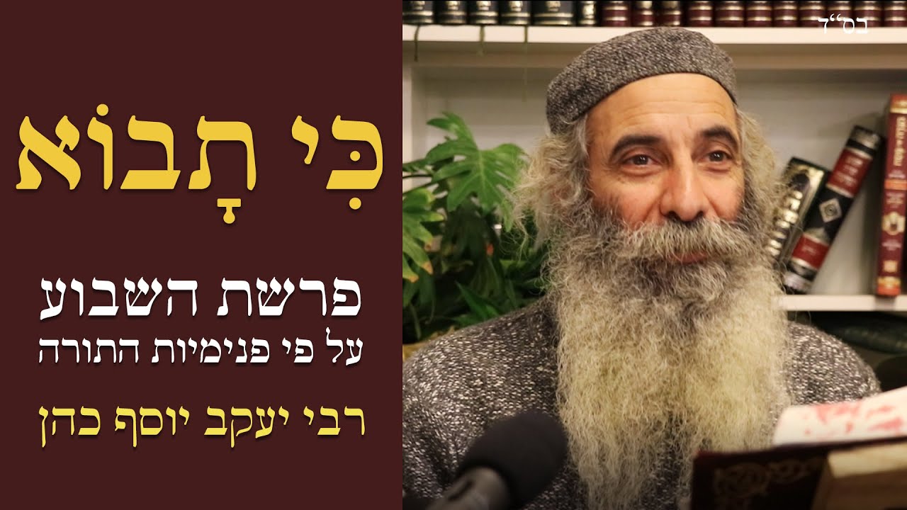כי תבוא ע