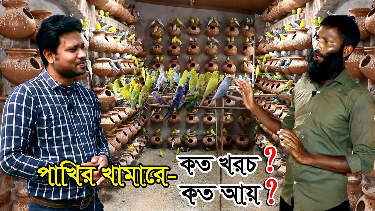 দামী পাখির খামার | কলোনি পদ্ধতিতে বিদেশি পাখি পালন করে প্রতি মাসে আয় করুন ৫০ হাজার টাকা | পাখি পালন