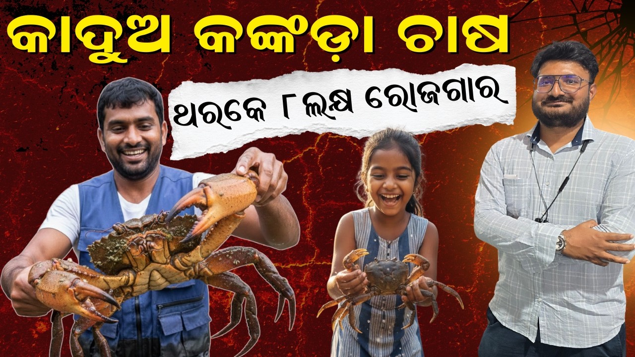 କଙ୍କଡ଼ା ଚାଷରୁ ଲକ୍ଷ ଲକ୍ଷ ଟଙ୍କା ଲାଭ! || Earn Lakhs with Crab Farming! 🦀 @EfarmingOdisha 