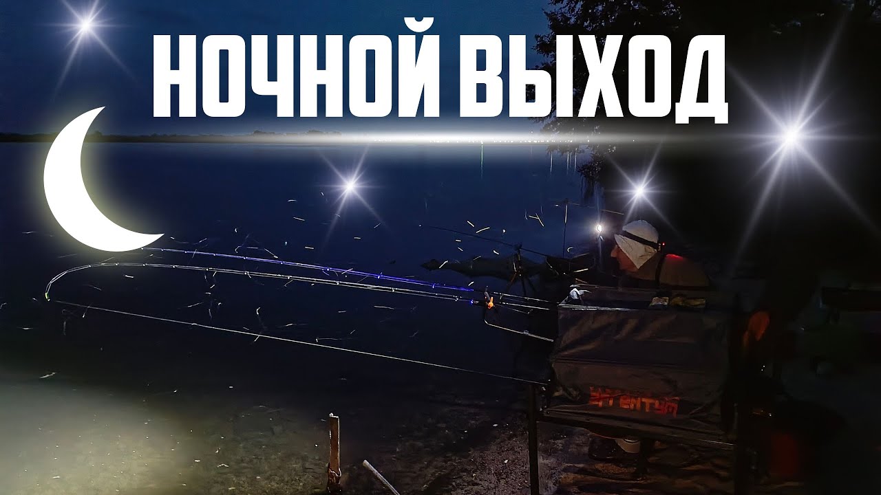 ЛОВЛЯ ФИДЕРОМ НА ДОНУ. ПЕРВАЯ ЖАРА. НОЧНОЙ ВЫХОД РЫБЫ.