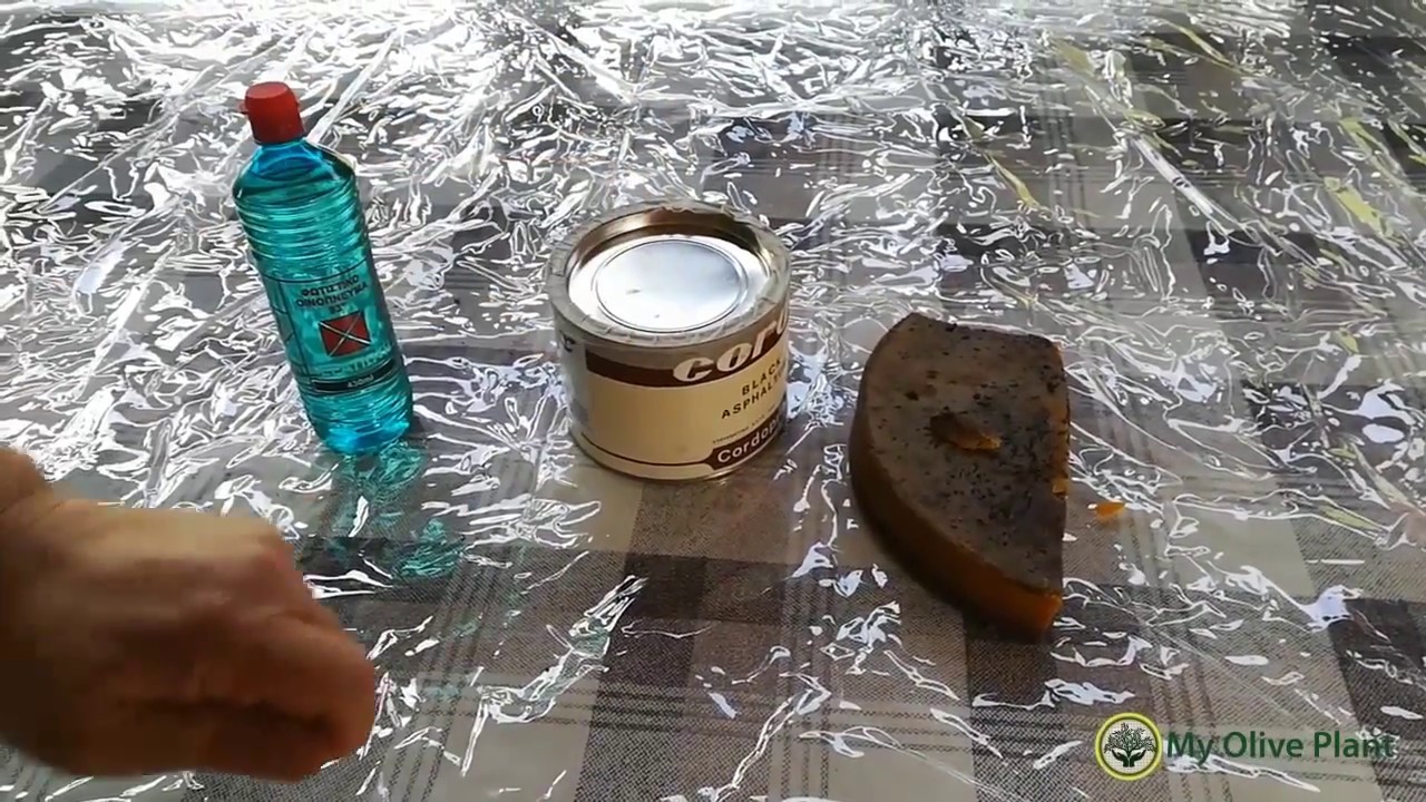 Κατασκευή πάστας εμβολιασμού με πίσσα