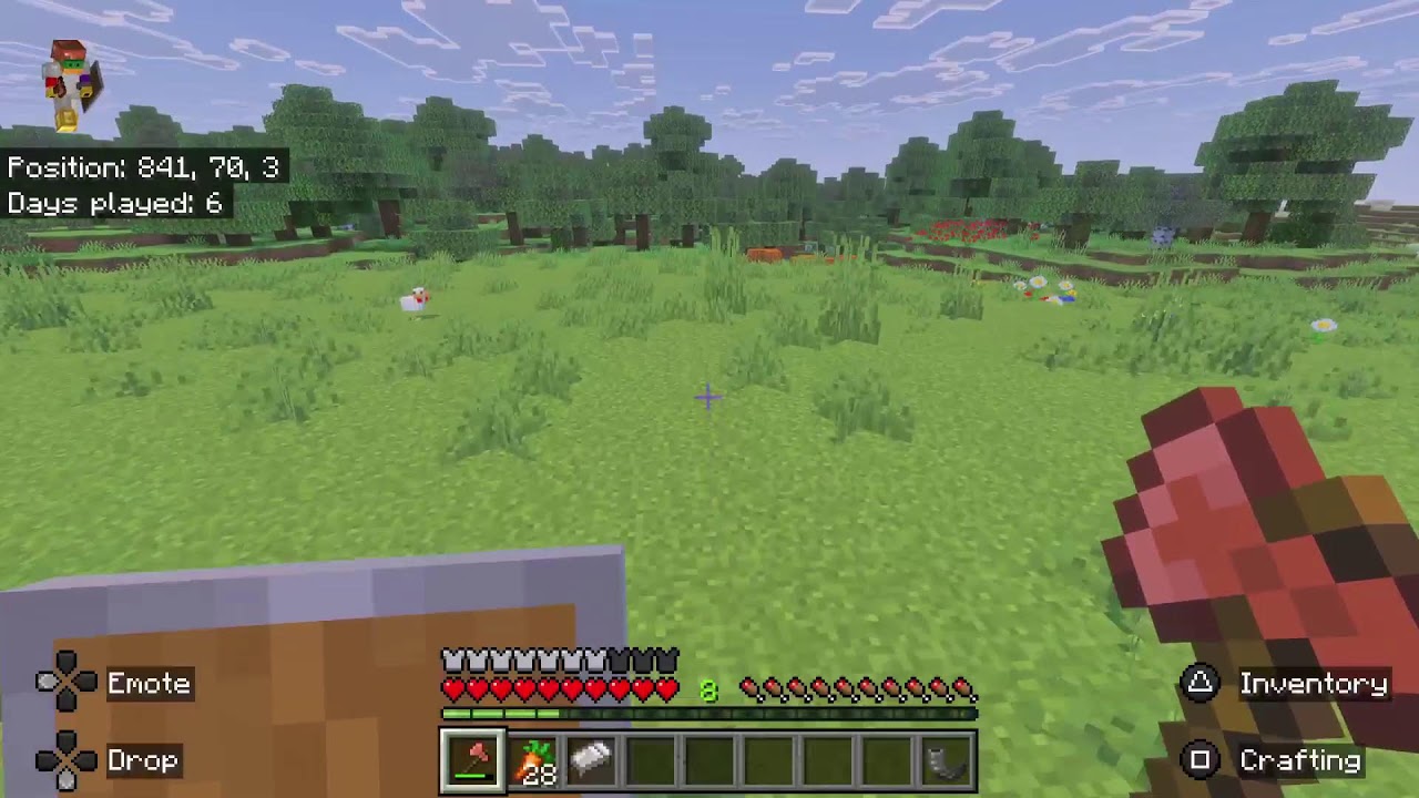 day 1 of Minecraft world