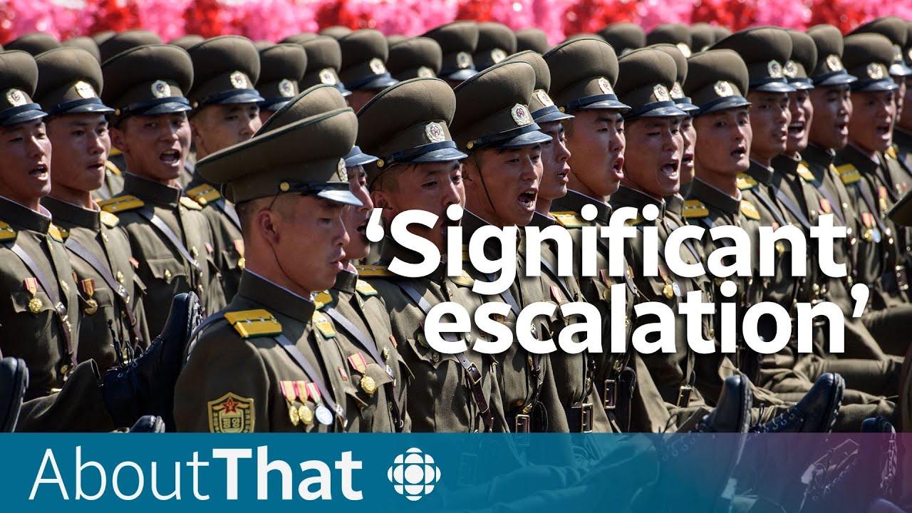 Could North and South Korea enter the Russia-Ukraine war? | About That