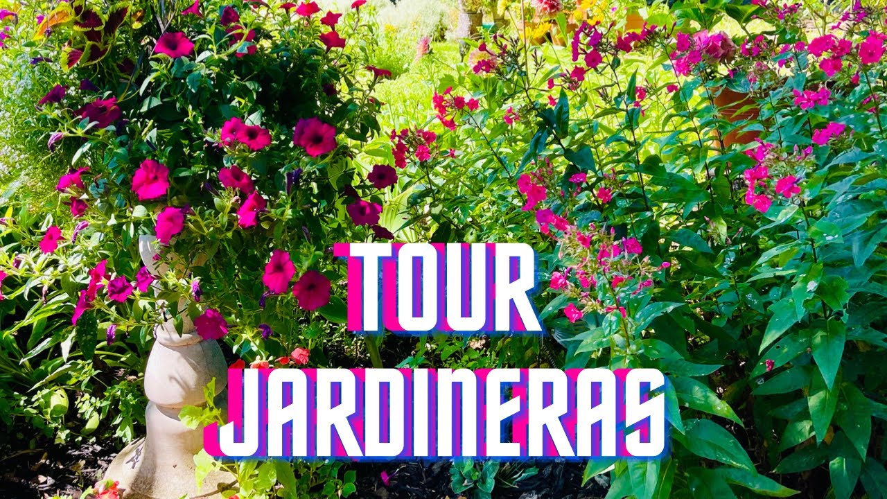 Tour por mi bello jard&iacute;n 🌸🌺🌼Jardineras de sol directo y media sombra, tips, ideas y m&aacute;s!!!!